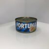 tunets_fortuna_rub_1